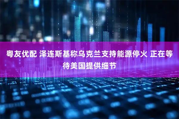 粤友优配 泽连斯基称乌克兰支持能源停火 正在等待美国提供细节