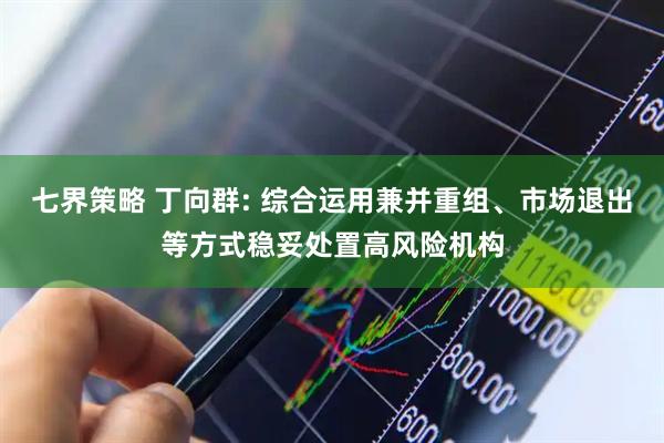 七界策略 丁向群: 综合运用兼并重组、市场退出等方式稳妥处置高风险机构